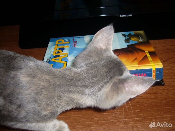 Жан-Поль Сартр 