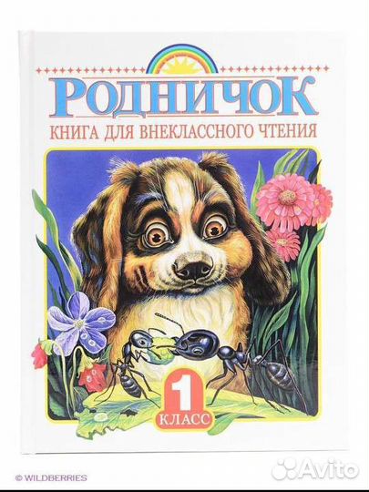 Книга Родничок внеклассное чтение 1 класс