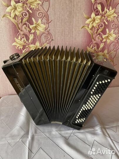 Баян тульский 