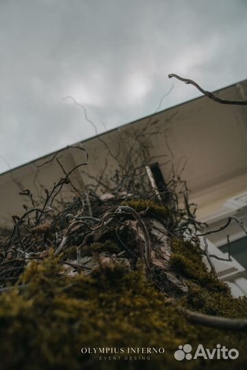 Оформление входной группы, фасада, витрин магазина