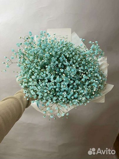 Гипсафилал Роза Букет Цветы Пионы