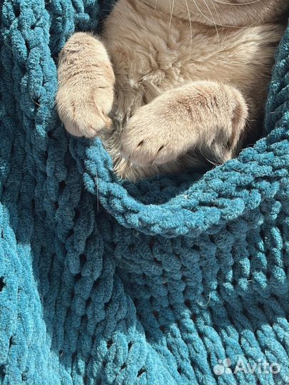 Вязаный шарф