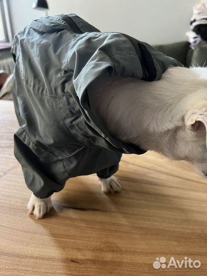 Куртка дождевик
