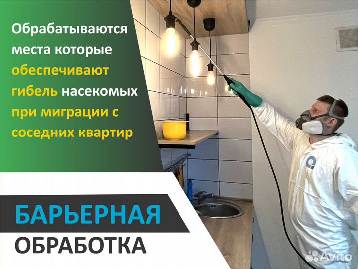 Дезинфекция