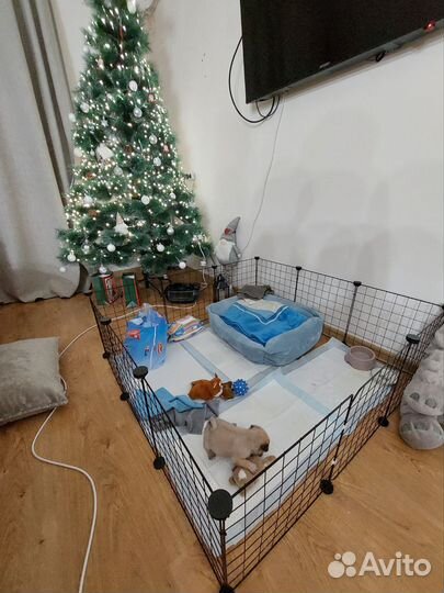 Клетка для животных бу