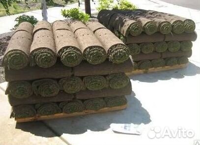 Укладка газона