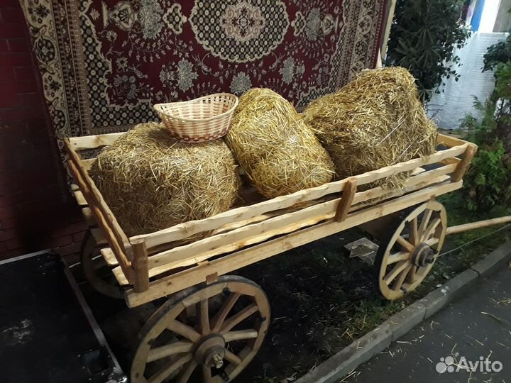 Аренда старинной русской телеги (повозки) №3