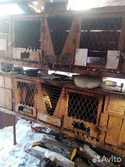 Клетка для кроликов