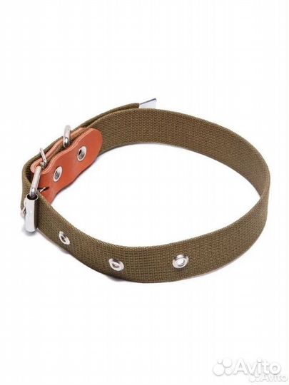 Ошейники и поводки для собак оптом