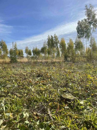 Участок 7 сот. (ИЖС)