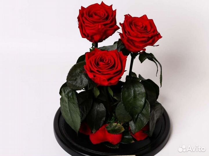 Цветы оптом