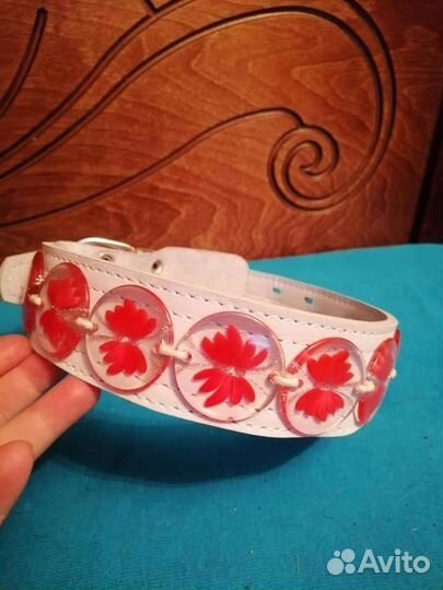 Ошейник на заказ для собак и других животных (экск