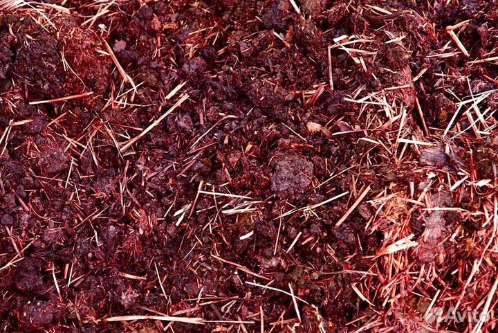 Чернозем, навоз с доставкой. Камаз 15 тонн