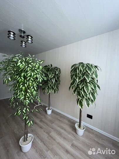 Продам искусственное дерево