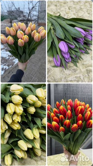 Тюльпаны к 8 марта
