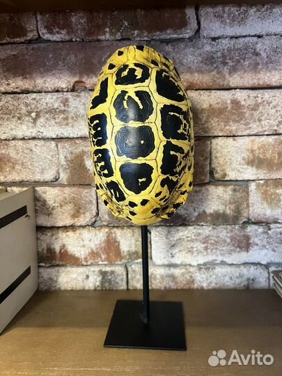 Декоративный элемент панцирь черепахи