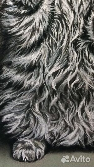 Картина Котёнок в подарок