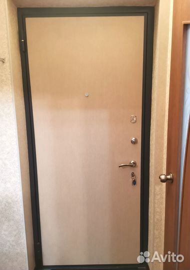 Дверь входная железная