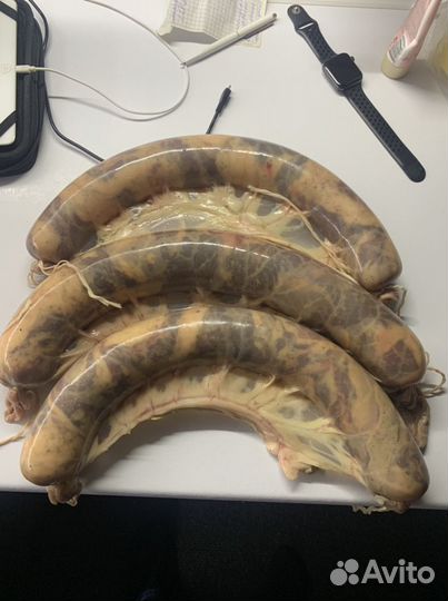 Казы из конины