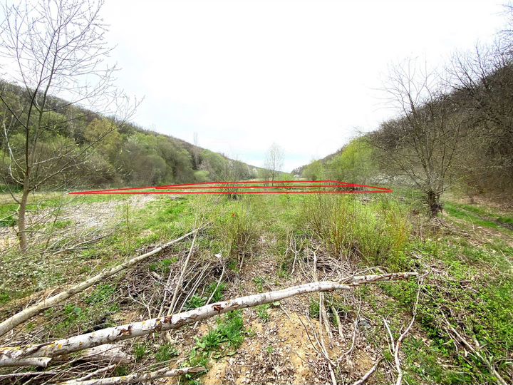 Участок 17 сот. (СНТ, ДНП)