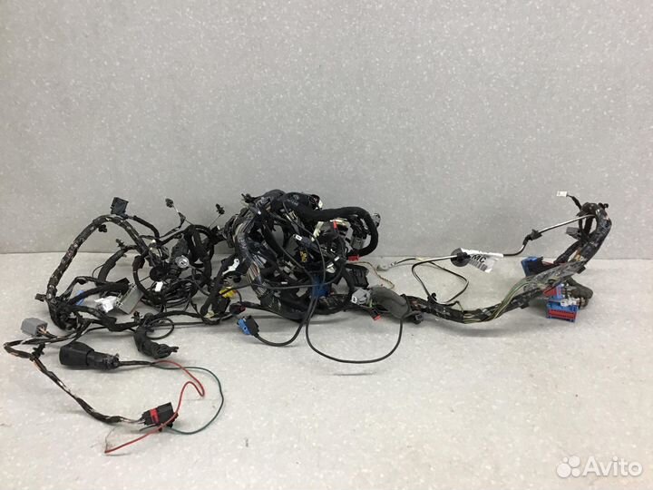 Проводка (коса) Ford Focus III 2011