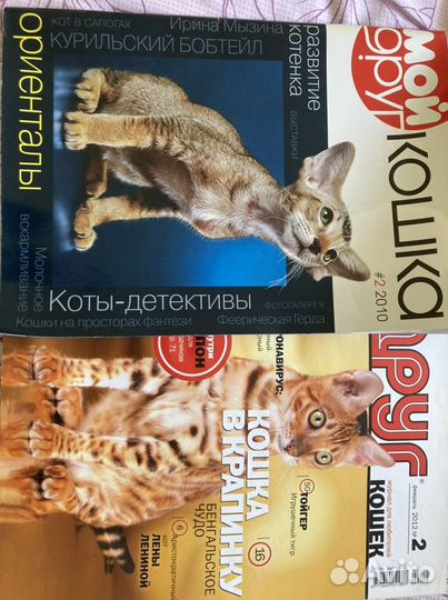Журнал «мой друг кошка»