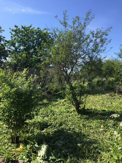 Дом 60 м² на участке 20 сот.