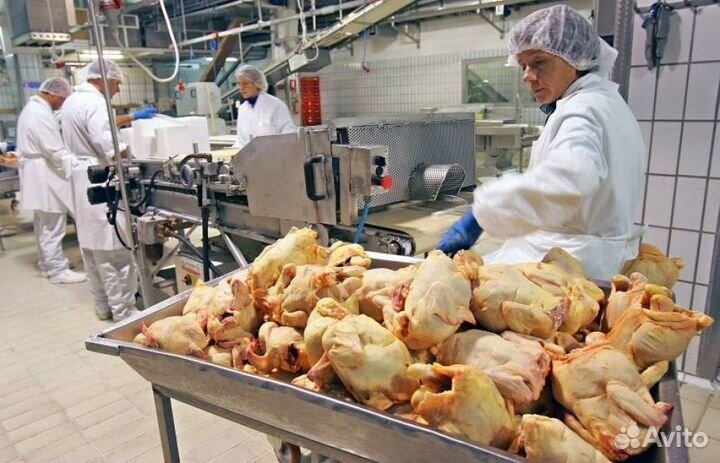 Вахта от 15 смен Белгород Питание Упаковщик-ца