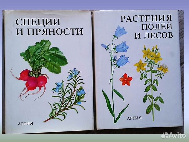 Богато иллюстрированные книги Артия. Ботаника