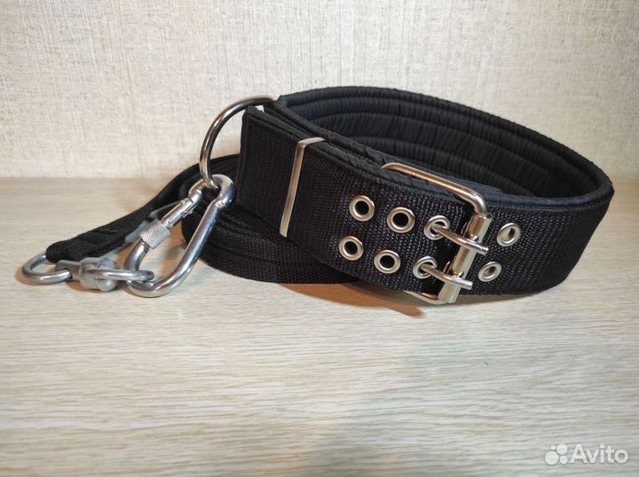 Амуниция для собак (ошейники, шлейки, недоуздки)