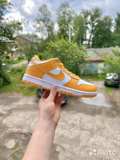 Кроссовки Nike SB Dunk Low Pro