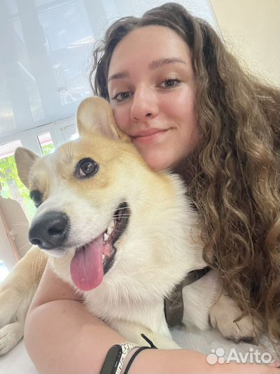 Передержка животных