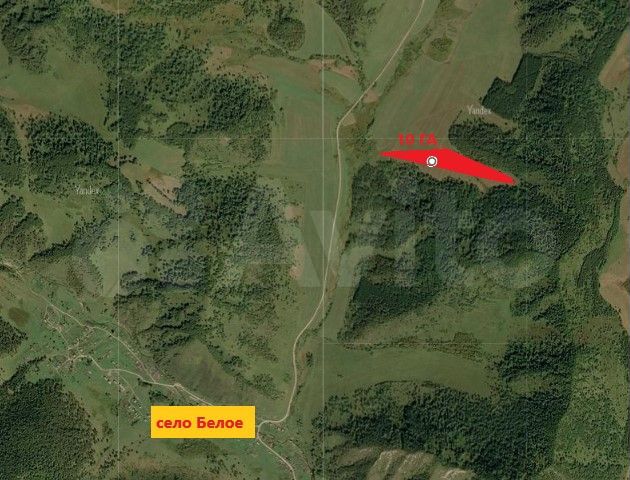 Участок 10 га (СНТ, ДНП)