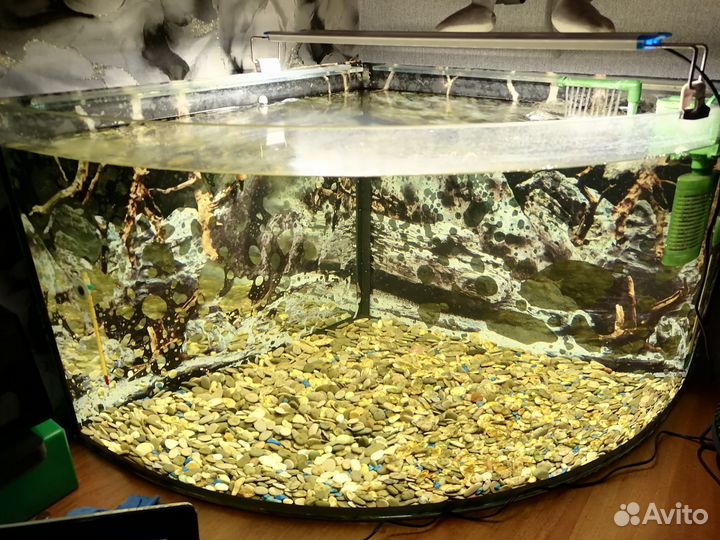 Аквариум