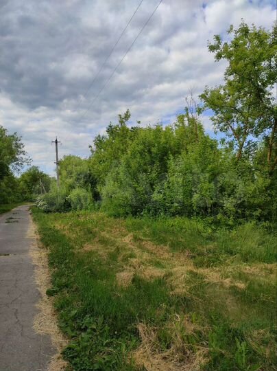 Участок 43 сот. (СНТ, ДНП)