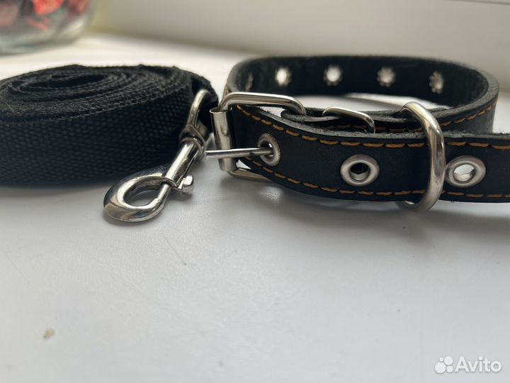Ошейник и поводок для собак