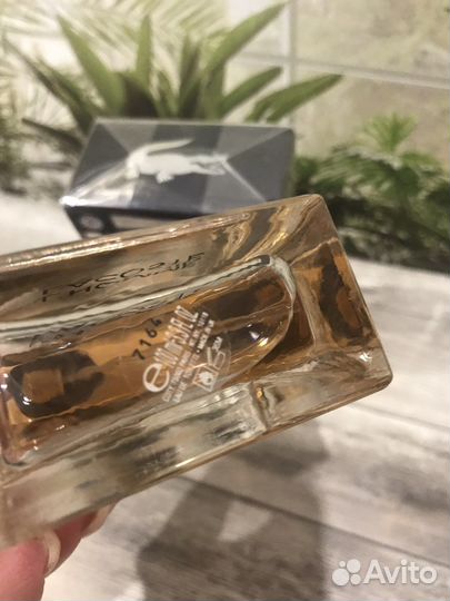 Lacoste pour homme 100 ml