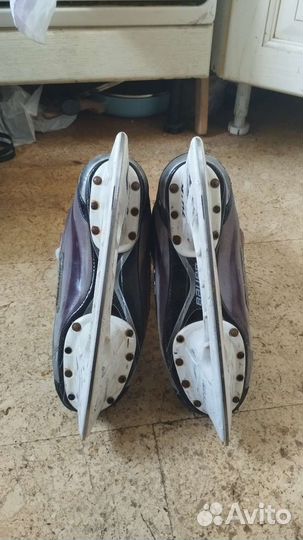 Коньки bauer x:60 7D