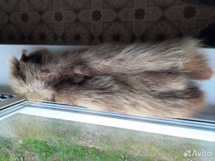 Мех звериная шкура