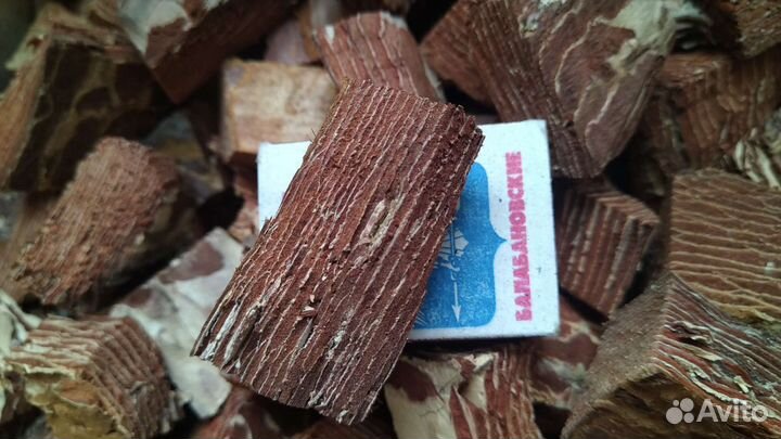 Кора крымской сосны