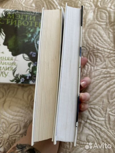 Воронята, Похитители снов Мэгги Стивотер