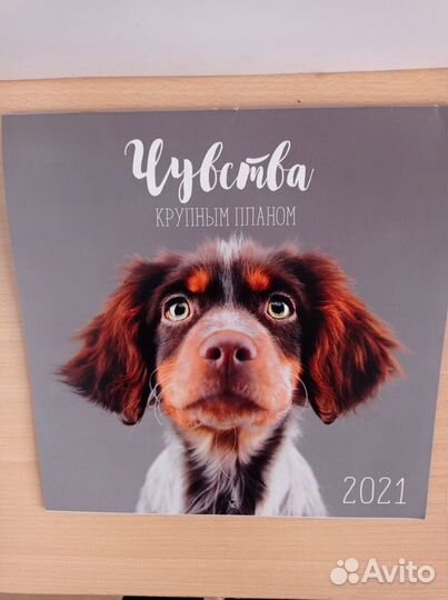 Календарь 