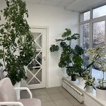 Шугаринг депиляция, Чита