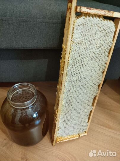 Мед чувашский,лесной, с бесплатной доставкой