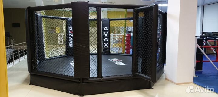 Октагон на техническом помосте