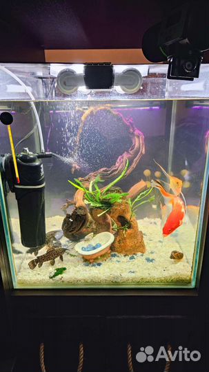 Аквариум 100л под ключ
