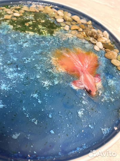 Тарелка декоративная ручная работа рыбы в смоле