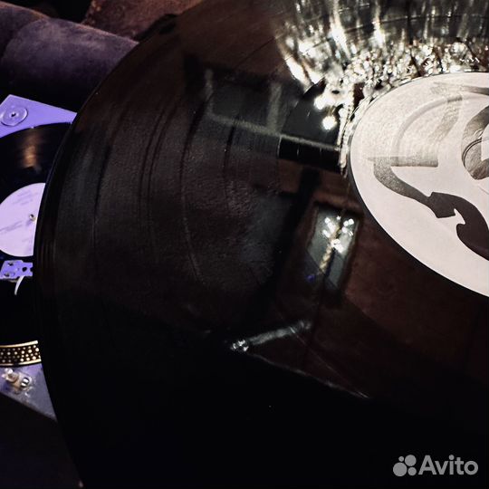 The Whores (W40R35) - Larger, More Powerful Record