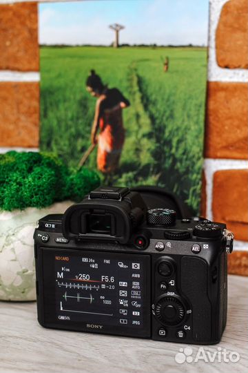 Цифровой фотоаппарат Sony Alpha A7 Mark III Body