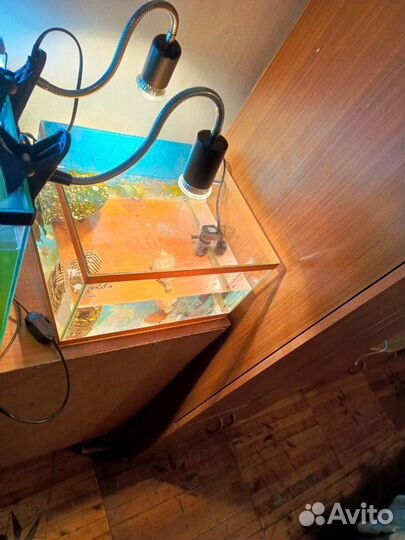 Две маленькие красноухие черепахи и аквариум